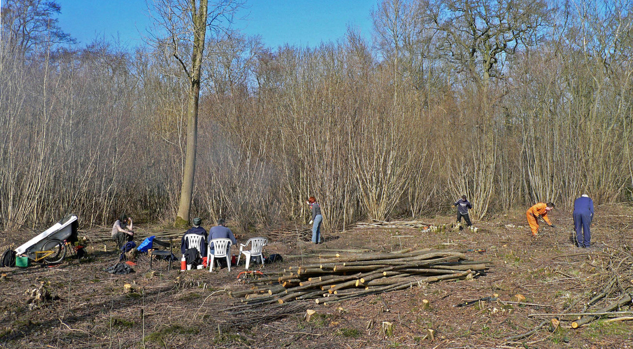 select left of pic for previous, right for next, top for index