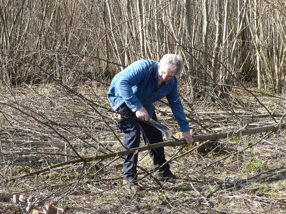 select left of pic for previous, right for next, top for index