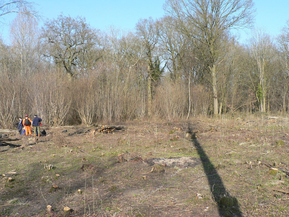 select left of pic for previous, right for next, top for index