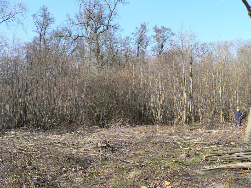 select left of pic for previous, right for next, top for index