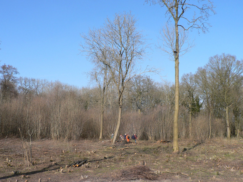 select left of pic for previous, right for next, top for index