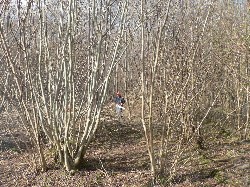 select left of pic for previous, right for next, top for index