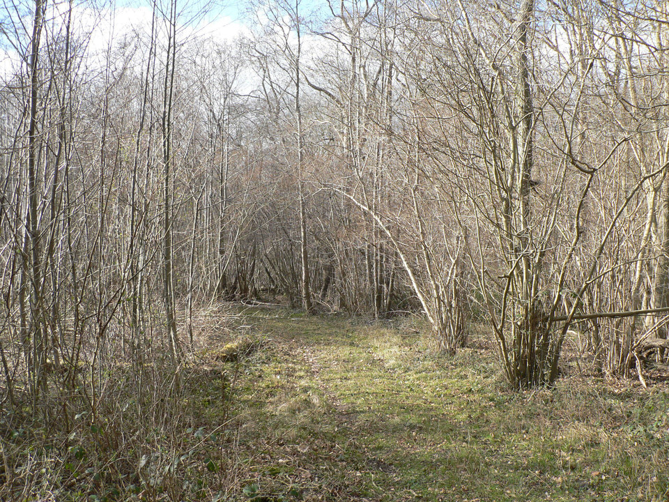 select left of pic for previous, right for next, top for index