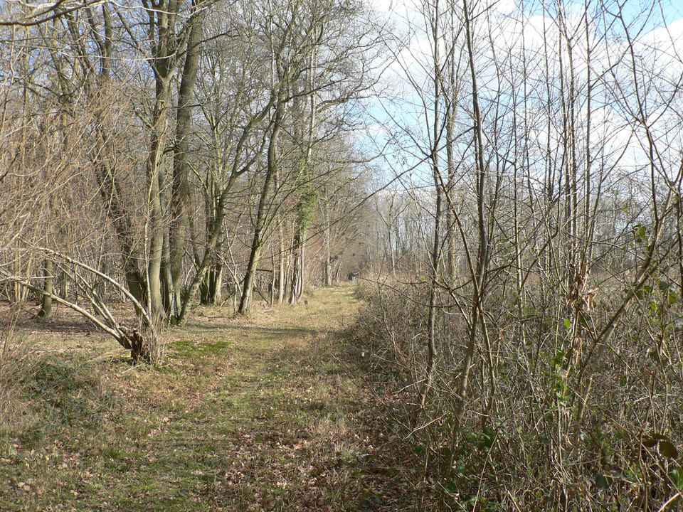 select left of pic for previous, right for next, top for index