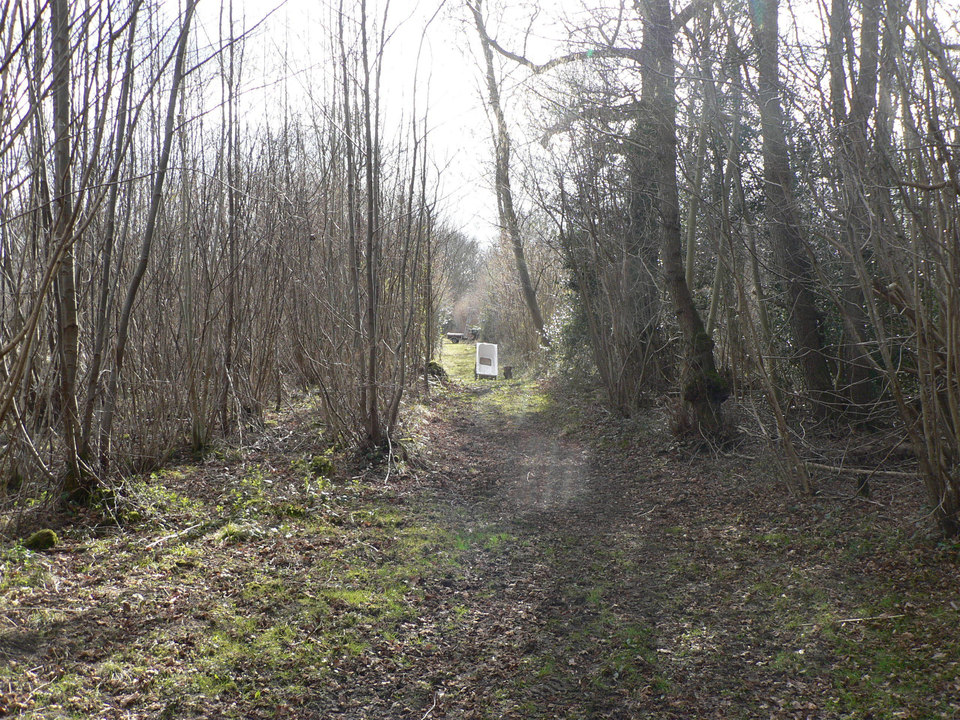 select left of pic for previous, right for next, top for index