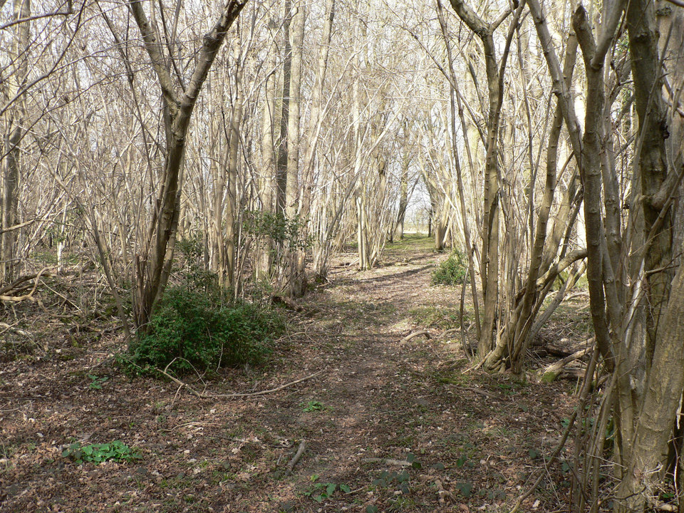 select left of pic for previous, right for next, top for index