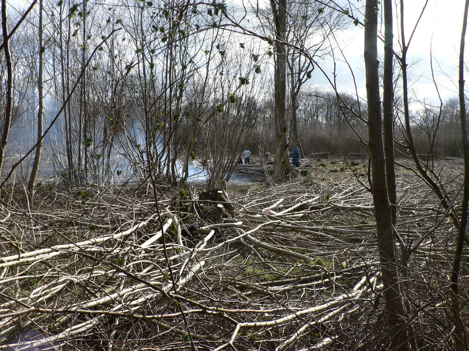 select left of pic for previous, right for next, top for index