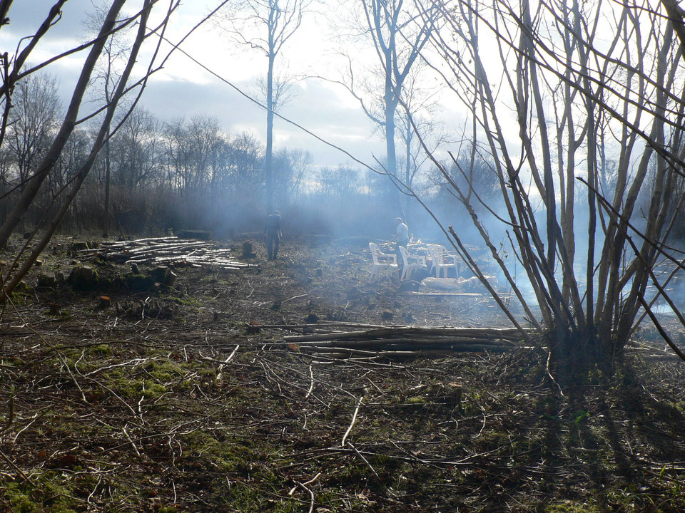 select left of pic for previous, right for next, top for index