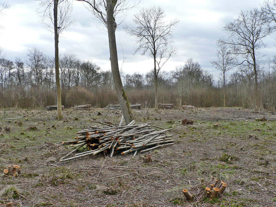 select left of pic for previous, right for next, top for index