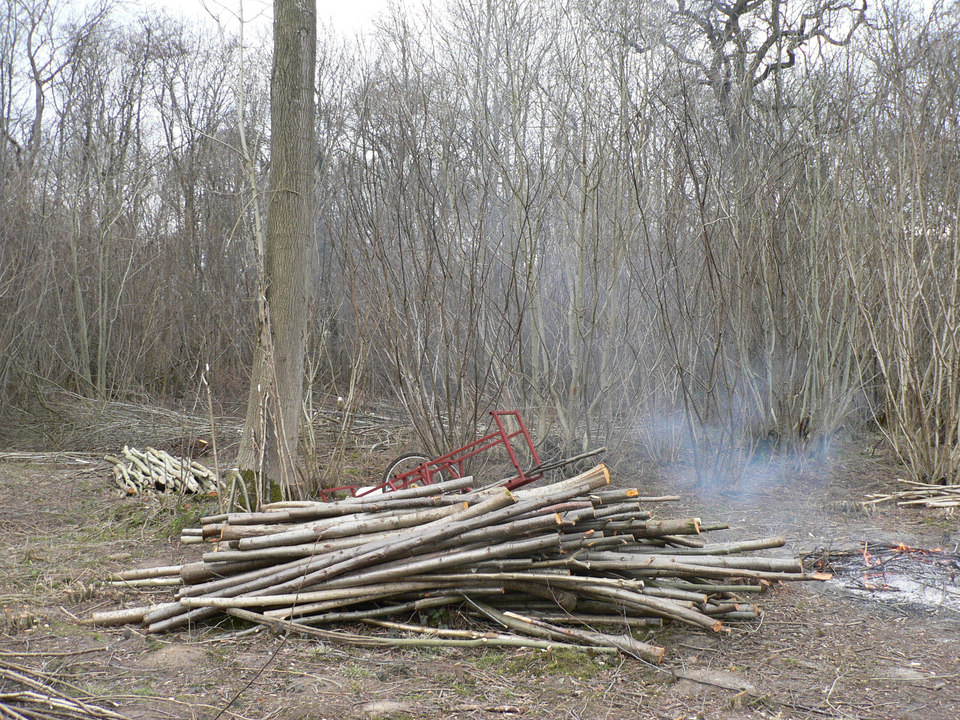 select left of pic for previous, right for next, top for index