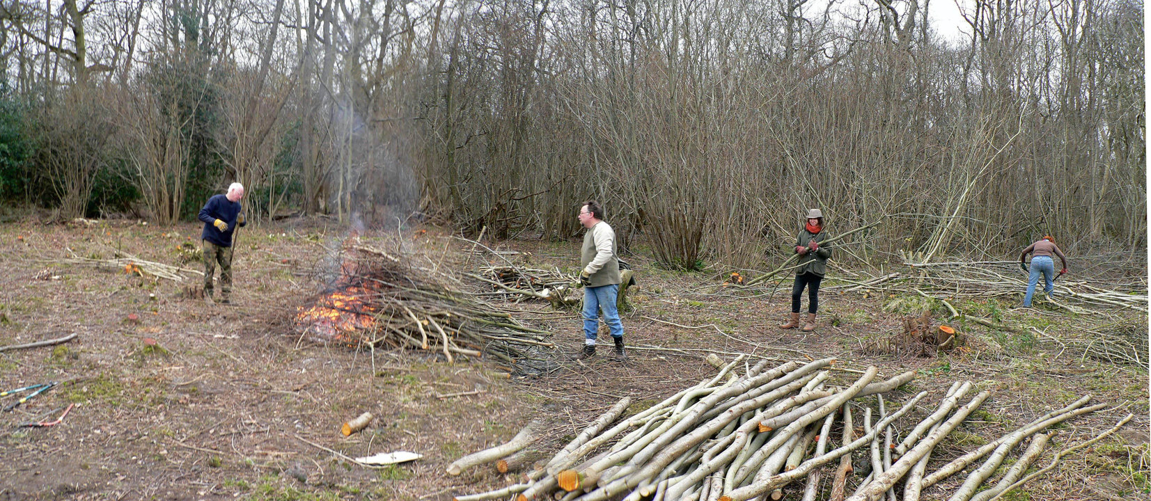 select left of pic for previous, right for next, top for index