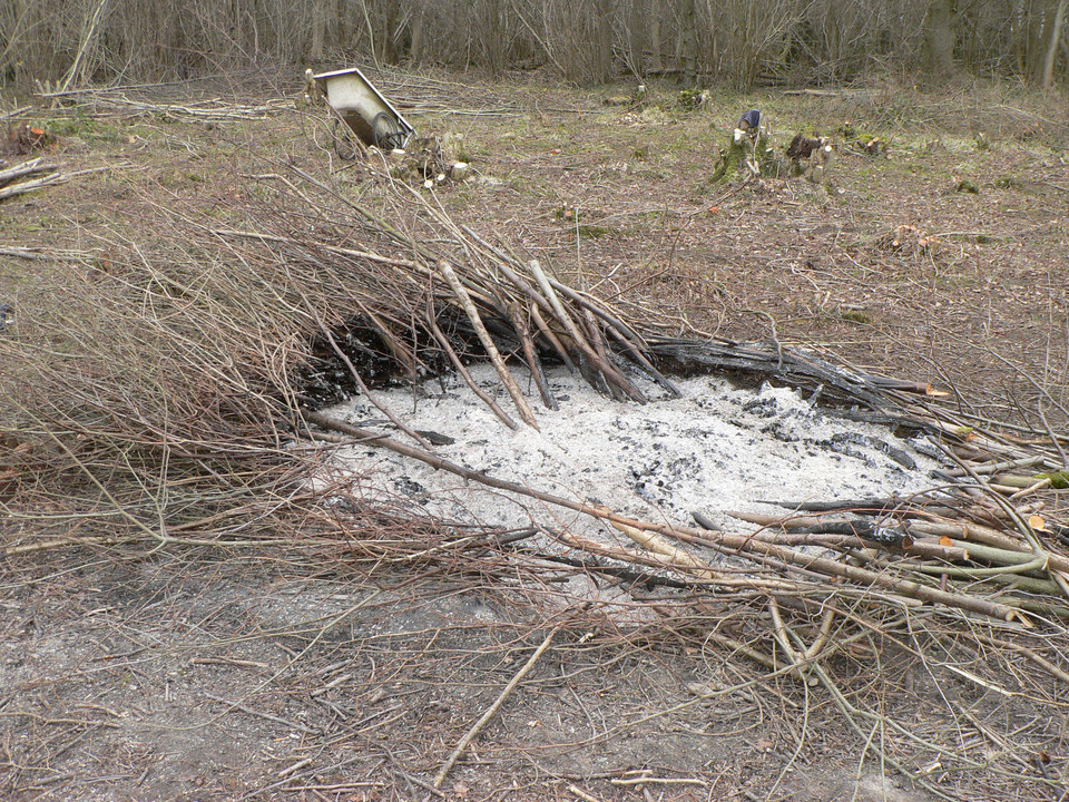 select left of pic for previous, right for next, top for index