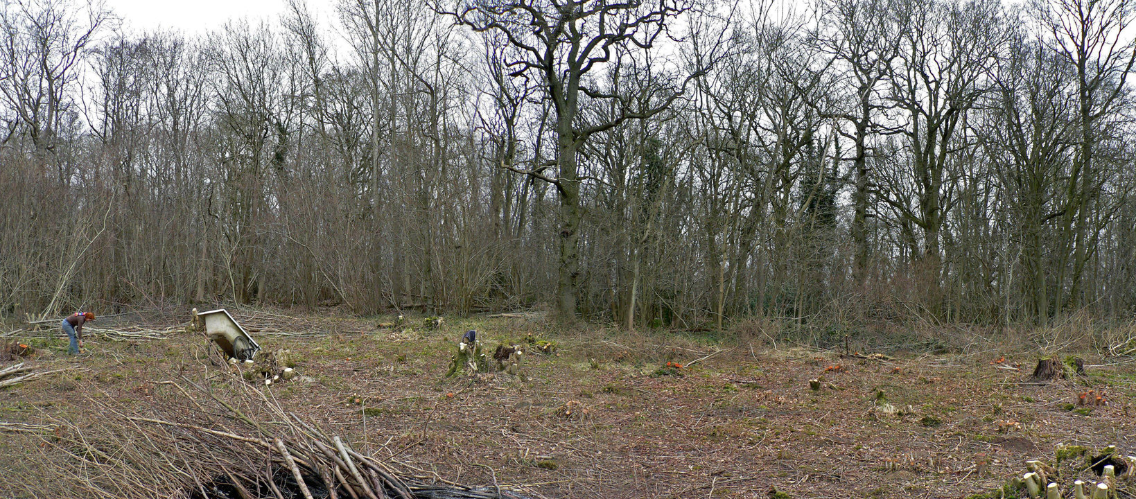 select left of pic for previous, right for next, top for index