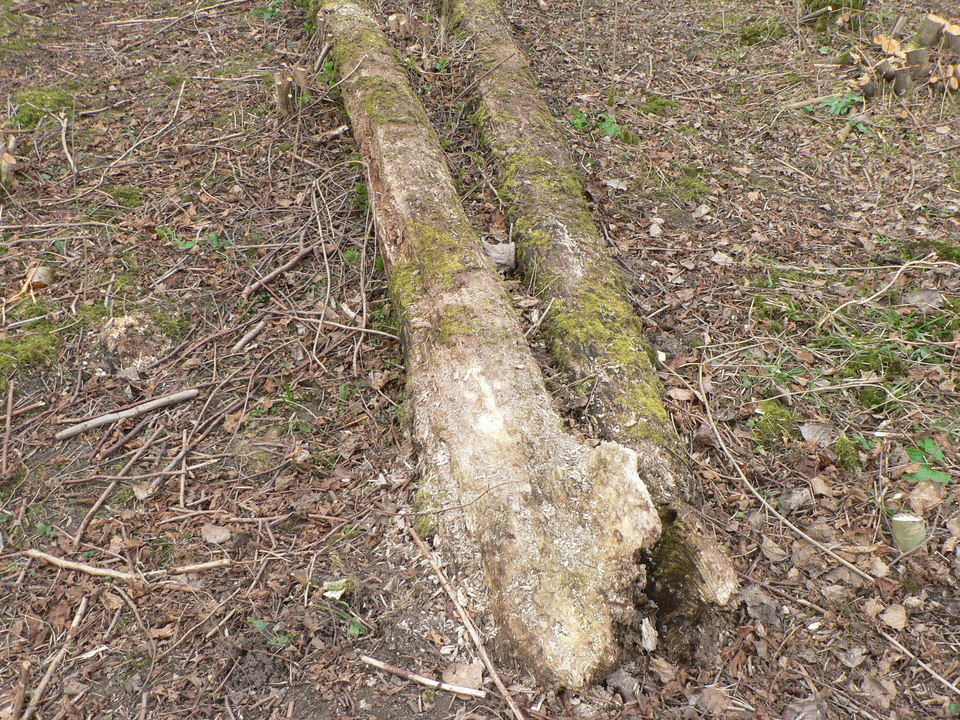 select left of pic for previous, right for next, top for index