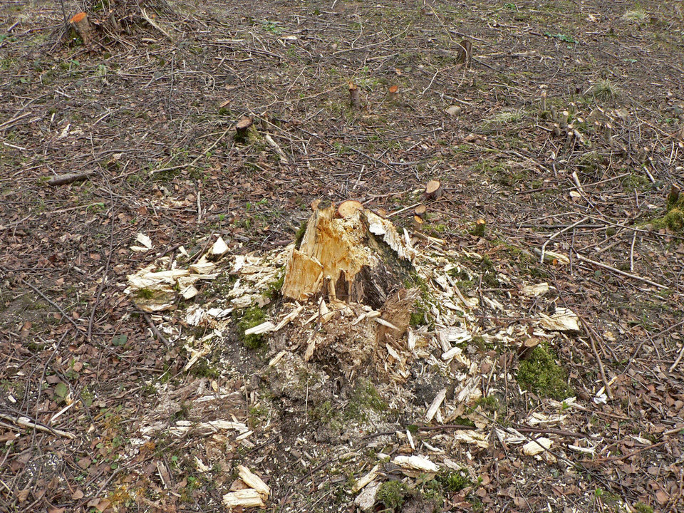 select left of pic for previous, right for next, top for index