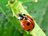 P1180014