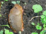 P1180016