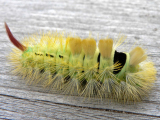 P1290225