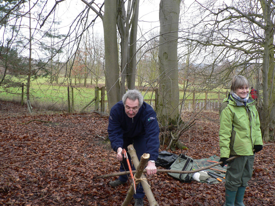 select left of pic for previous, right for next, top for index