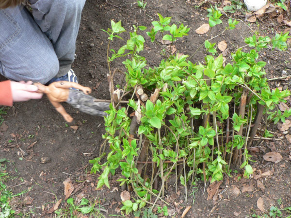 select left of pic for previous, right for next, top for index