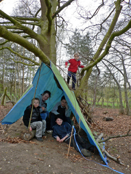 select left of pic for previous, right for next, top for index