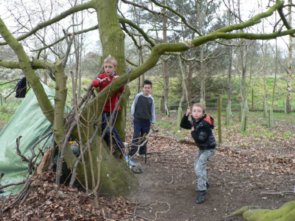 select left of pic for previous, right for next, top for index