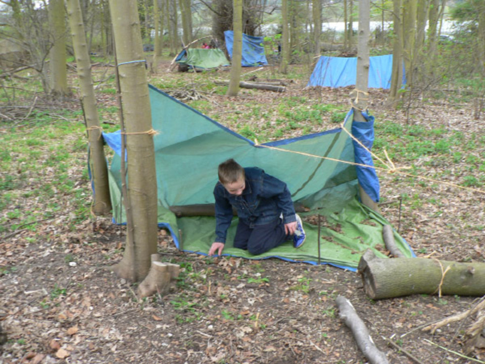 select left of pic for previous, right for next, top for index