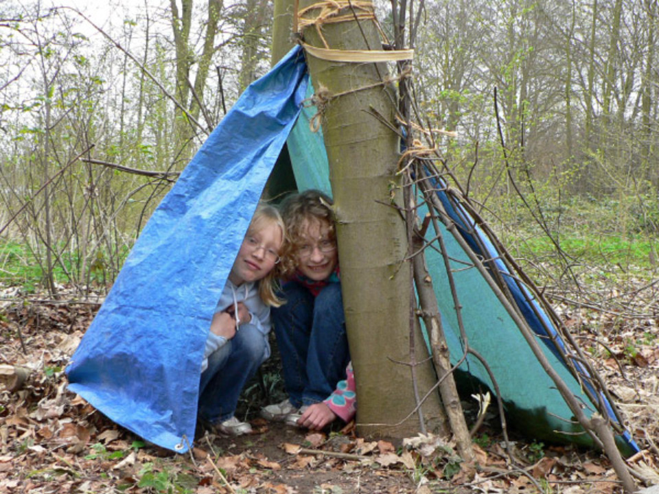 select left of pic for previous, right for next, top for index